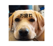 486854238