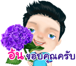 48686466
