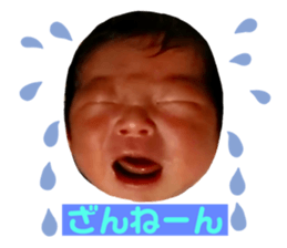 486866339
