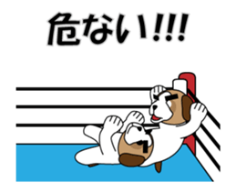 486884269