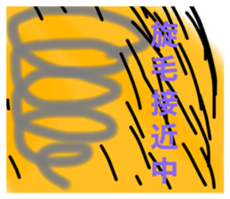 486884903