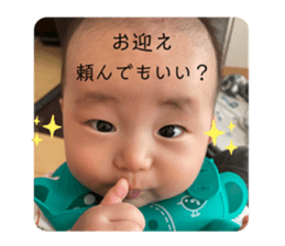 486887581