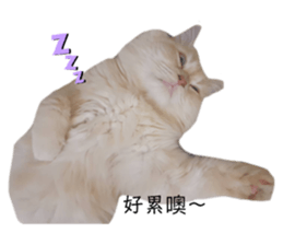 486891598