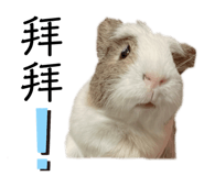 486898189