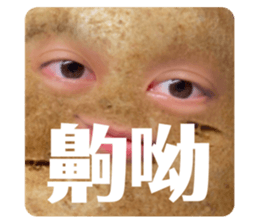 486983341