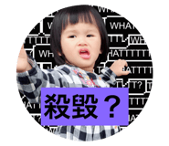 48702558