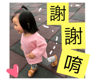 48702580