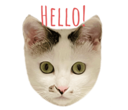 487168097