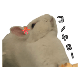 487168250