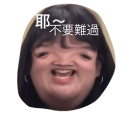 487168981