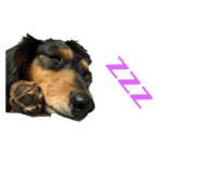 487178590