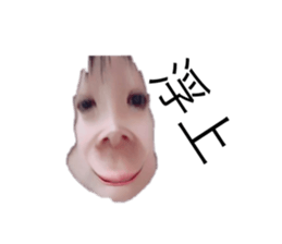 487180694