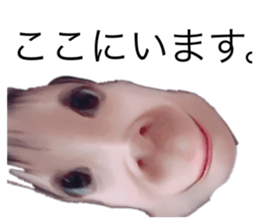 487180703
