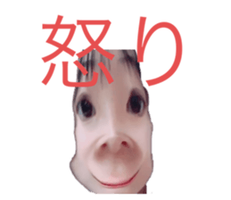 487180712
