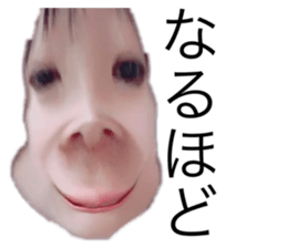 487180713