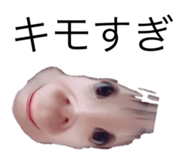 487180716