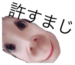 487180718