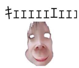 487180720