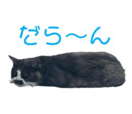 487186969