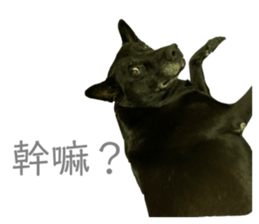 487236353