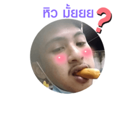 487254023