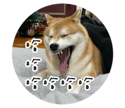487274295