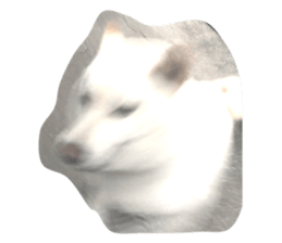 487282300