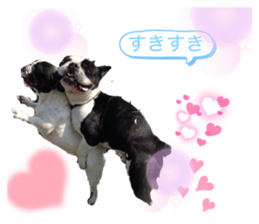 487285155
