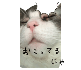 487299953
