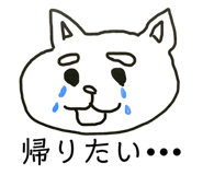 487313507