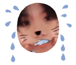 487365883