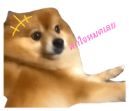 487439626