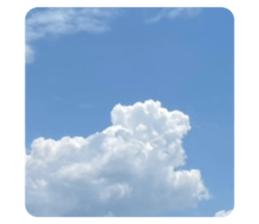 487460883