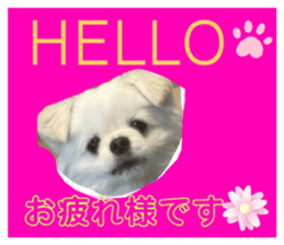 487485234