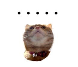 487499534
