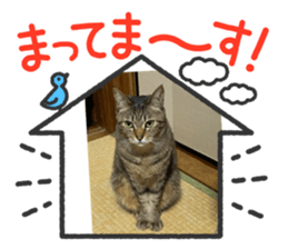 487534916