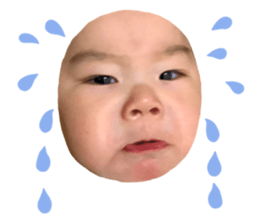 487549923
