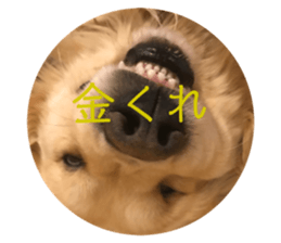 487553365