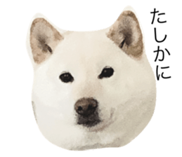 487557512