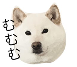 487557514