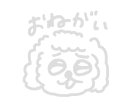487558337