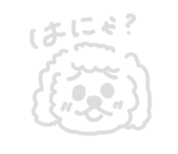 487558338