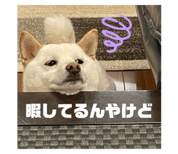 487576172