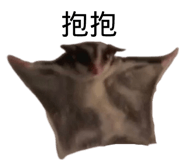 487630212