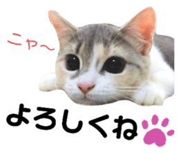 487633283