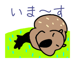 487707036
