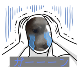 487763820