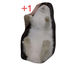487772716