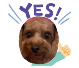 487782360