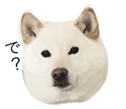 487784382